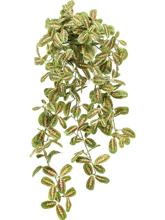 Maranta Artificial Plant Premium Faux 70cm Height Artificial Plants