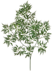 Ming Aralia Artificial Plant Premium Faux 72cm Height Artificial Plants