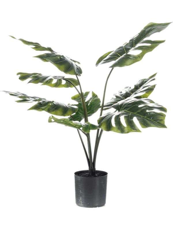 Monstera Artificial Plant Premium Faux 60cm Height Artificial Plants