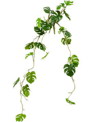 Monstera Artificial Plant Premium Faux 80cm Height Artificial Plants