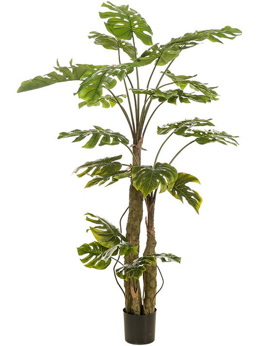 Monstera On Trunk Artificial Plant Premium Faux 180cm Height Artificial Plants