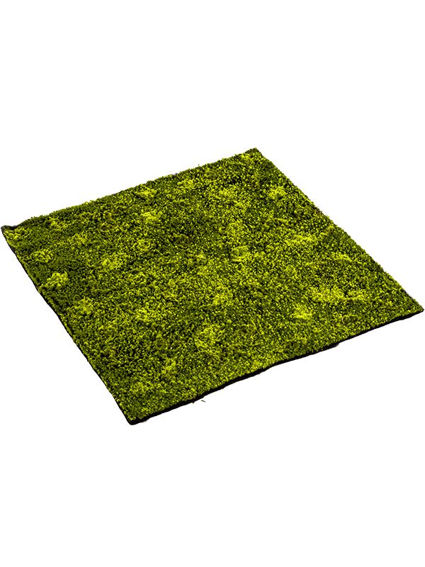 Moss Hypnum Artificial Plant Premium Faux cm Height Artificial Plants