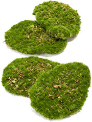 Moss plate Artificial Plant Premium Faux 5cm Height Artificial Plants