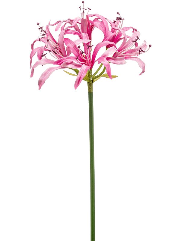 Nerine Artificial Plant Premium Faux 75cm Height Artificial Plants