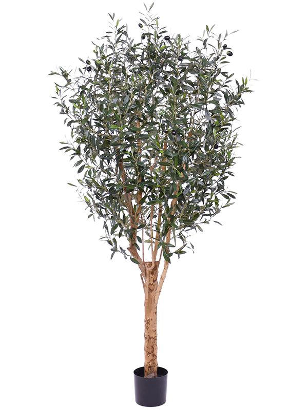 Olea Europea Artificial Plant Premium Faux 185cm Height Artificial Plants
