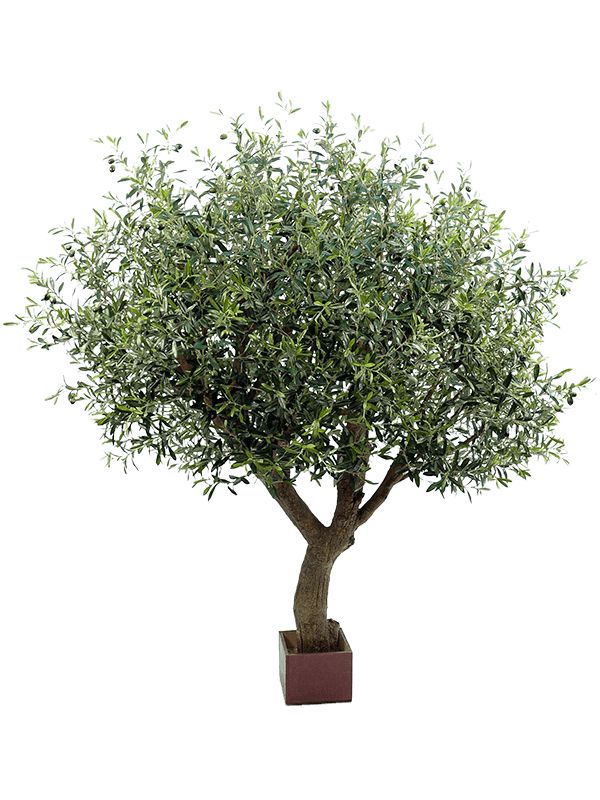 Olive Tree Artificial Plant Premium Faux 210cm Height Artificial Plants