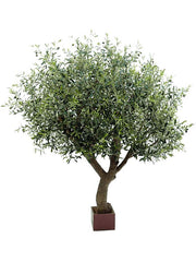 Olive Tree Artificial Plant Premium Faux 210cm Height Artificial Plants