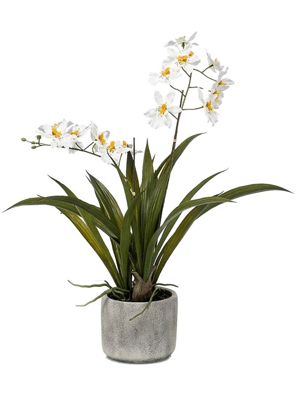 Oncidium Artificial Plant Premium Faux 45cm Height Artificial Plants