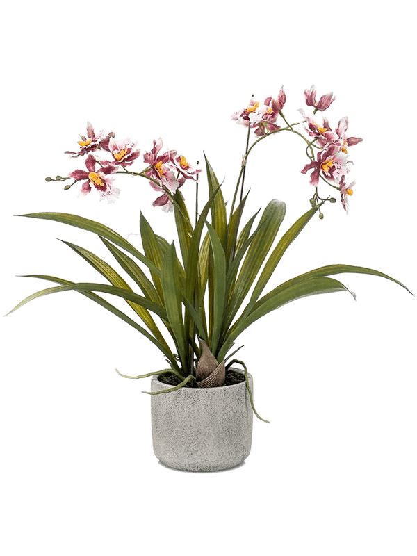 Oncidium Artificial Plant Premium Faux 45cm Height Artificial Plants