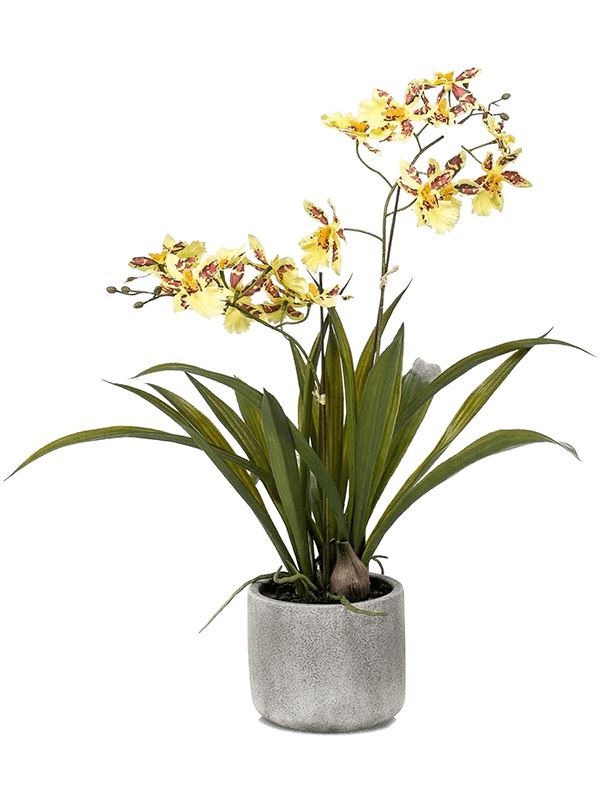 Oncidium Artificial Plant Premium Faux 45cm Height Artificial Plants