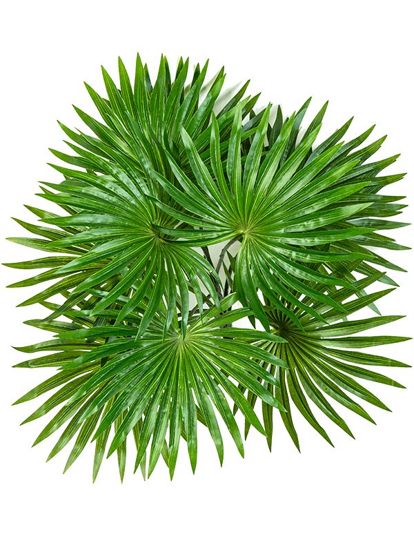 Palm Artificial Plant Premium Faux 35cm Height Artificial Plants