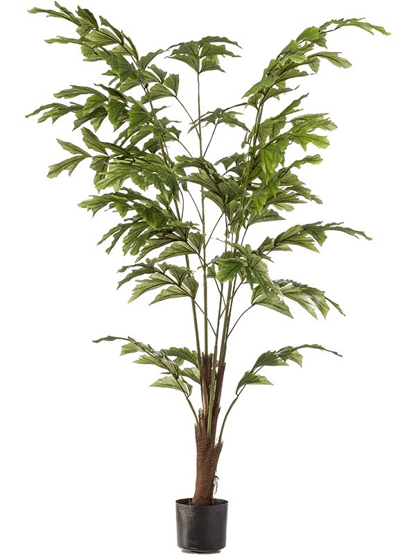 Palm Fishtail Artificial Plant Premium Faux 155cm Height Artificial Plants