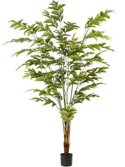Palm Fishtail Artificial Plant Premium Faux 195cm Height Artificial Plants