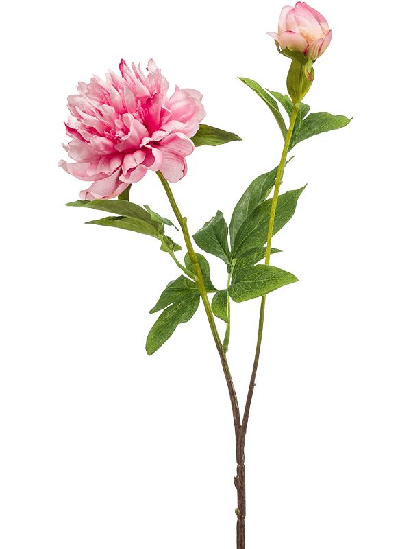 Peony Sarah Artificial Plant Premium Faux 73cm Height Artificial Plants