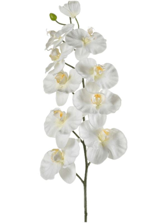 Phalaenopsis Artificial Plant Premium Faux 100cm Height Artificial Plants