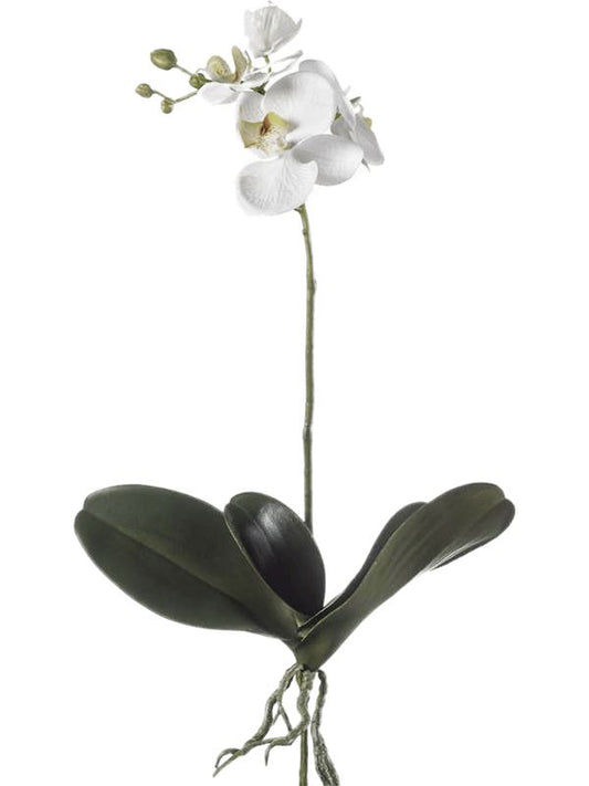 Phalaenopsis Artificial Plant Premium Faux 55cm Height Artificial Plants