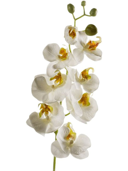 Phalaenopsis Artificial Plant Premium Faux 68cm Height Artificial Plants
