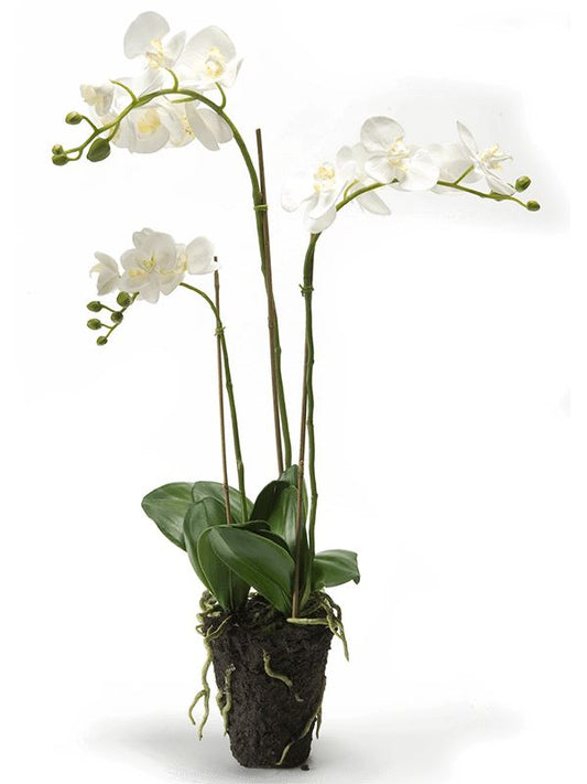 Phalaenopsis Artificial Plant Premium Faux 75cm Height Artificial Plants