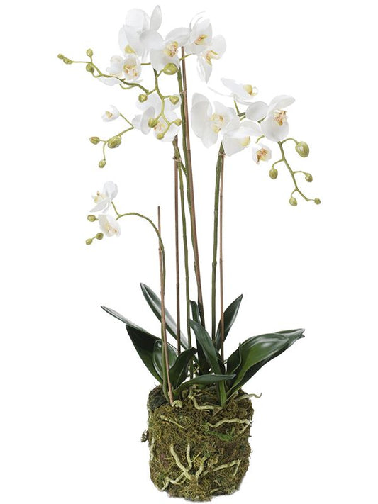 Phalaenopsis Artificial Plant Premium Faux 80cm Height Artificial Plants