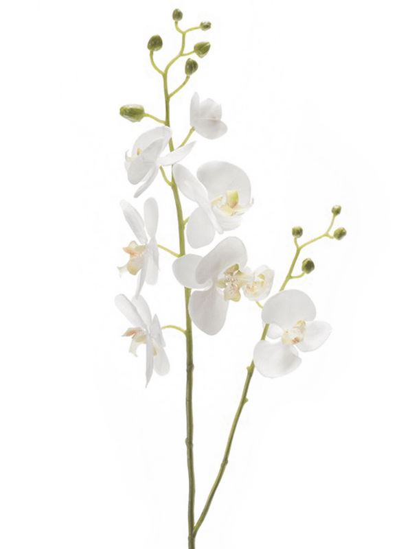 Phalaenopsis Artificial Plant Premium Faux 95cm Height Artificial Plants