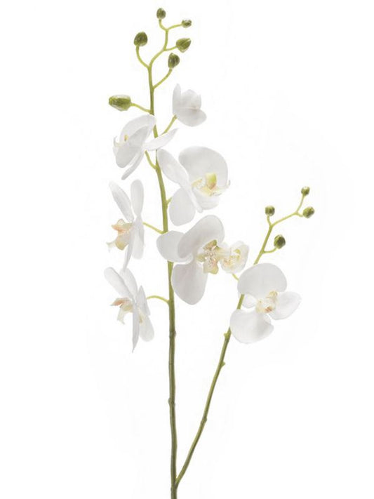 Phalaenopsis Artificial Plant Premium Faux 95cm Height Artificial Plants
