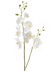 Phalaenopsis Artificial Plant Premium Faux 95cm Height Artificial Plants