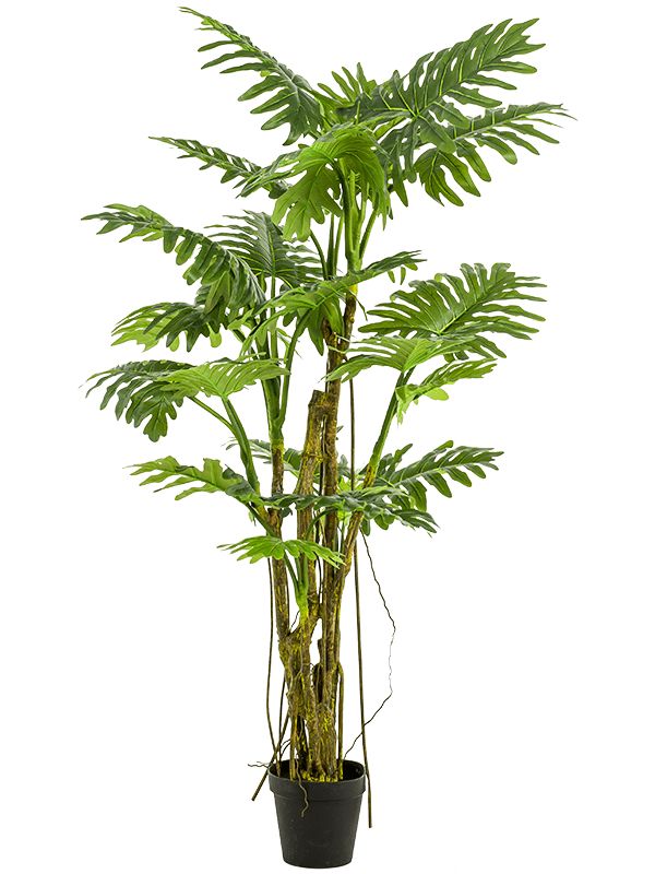 Philodendron Artificial Plant Premium Faux 195cm Height Artificial Plants