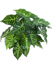 Philodendron Artificial Plant Premium Faux 45cm Height Artificial Plants