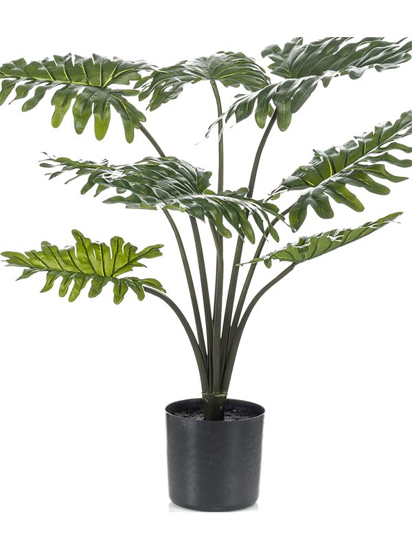 Philodendron Artificial Plant Premium Faux 80cm Height Artificial Plants