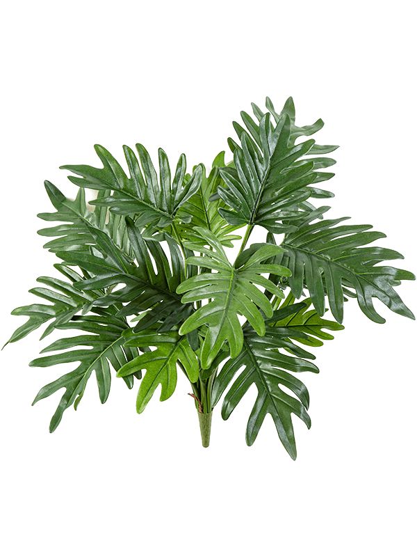 Philodendron Selloum Artificial Plant Premium Faux 50cm Height Artificial Plants