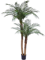 Phoenix Artificial Plant Premium Faux 225cm Height Artificial Plants