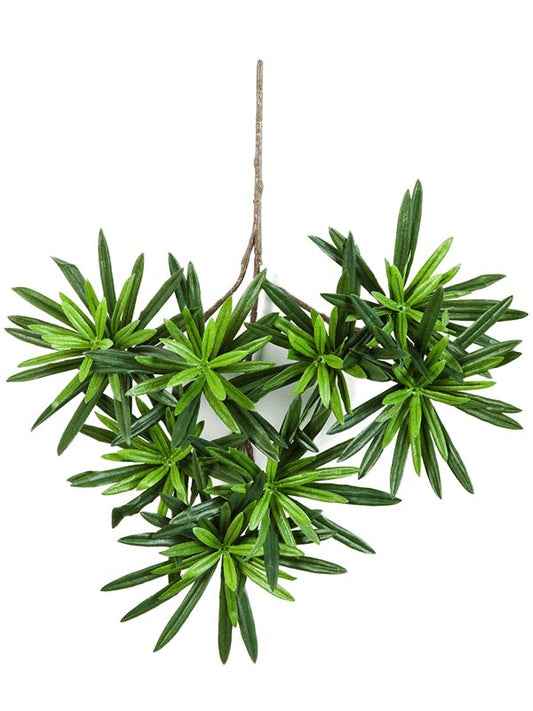 Podocarpus Artificial Plant Premium Faux 35cm Height Artificial Plants