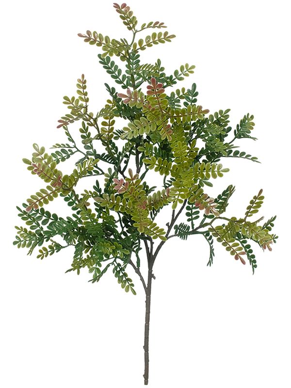 Rain Locust Artificial Plant Premium Faux 55cm Height Artificial Plants
