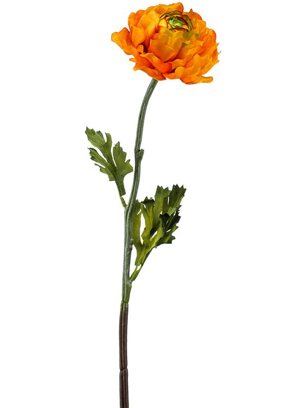 Ranunculus Artificial Plant Premium Faux 50cm Height Artificial Plants