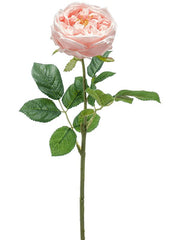 Rose Jenny RT Artificial Plant Premium Faux 60cm Height Artificial Plants