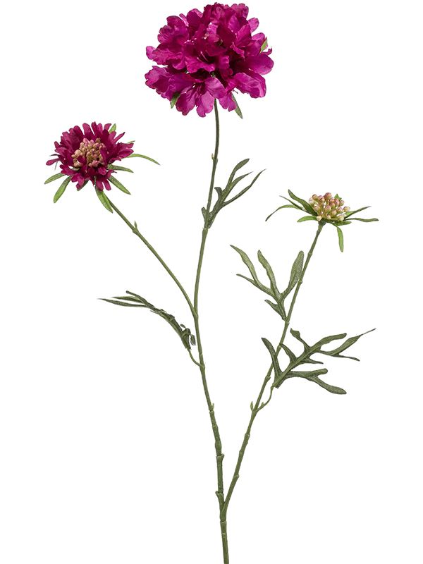 Scabiosa Artificial Plant Premium Faux 77cm Height Artificial Plants