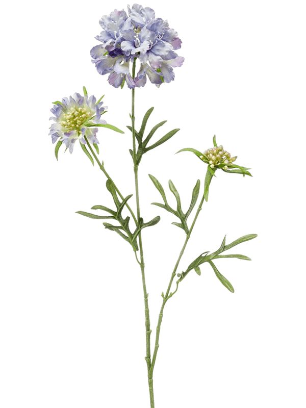 Scabiosa Artificial Plant Premium Faux 77cm Height Artificial Plants