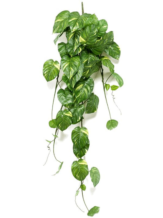 Scindapsus Artificial Plant Premium Faux 135cm Height Artificial Plants