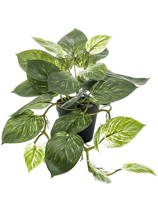Scindapsus Artificial Plant Premium Faux 55cm Height Artificial Plants