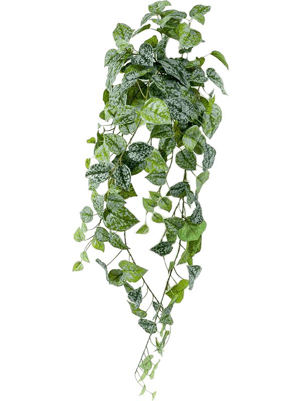 Scindapsus Pictus Artificial Plant Premium Faux 90cm Height Artificial Plants