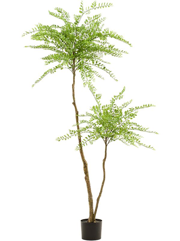 Sophora Artificial Plant Premium Faux 190cm Height Artificial Plants