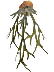 Staghorn Artificial Plant Premium Faux 90cm Height Artificial Plants