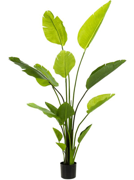 Strelitzia Nicolai Artificial Plant Premium Faux 150cm Height Artificial Plants