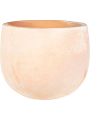 Terra Cotta Omar Plant Pot 47cm Height 44cm Dia Pot Terra Pots & Planters