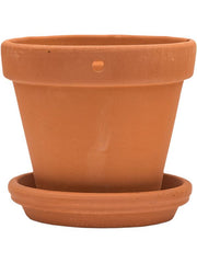 Terra Cotta Plant Pot 13cm Height 12cm Dia Wall Pot With Saucer Pots & Planters