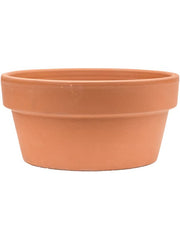 Terra Cotta Plant Pot 15cm Height 26cm Dia Bowl Pots & Planters