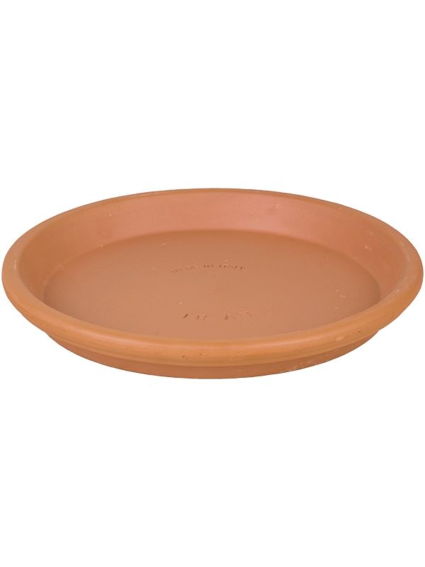 Terra Cotta Plant Pot 29cm Dia Saucer Pots & Planters