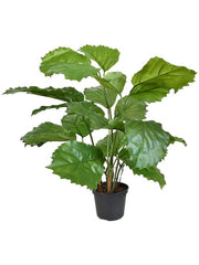 Tetrastigma Voinierianum Artificial Plant Premium Faux 50cm Height Artificial Plants
