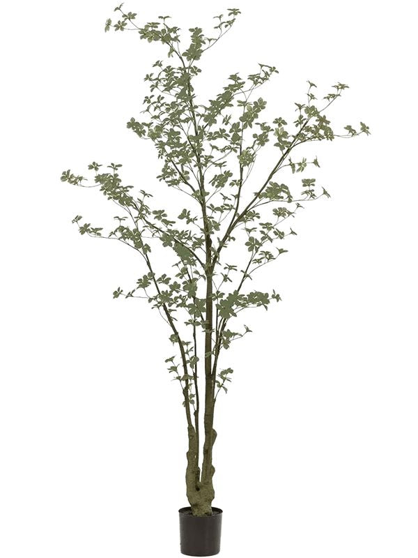 Tropaeolum Artificial Plant Premium Faux 245cm Height Artificial Plants