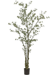 Tropaeolum Artificial Plant Premium Faux 245cm Height Artificial Plants